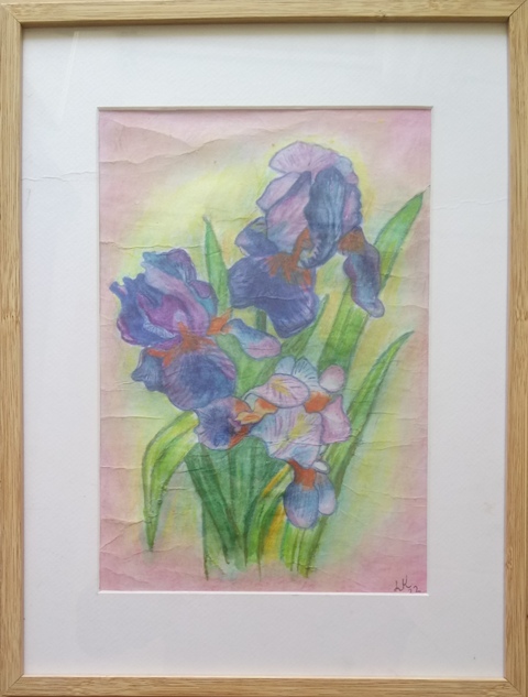 "Iris"