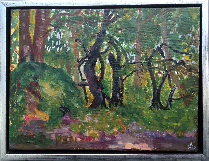 "Mørk skov"