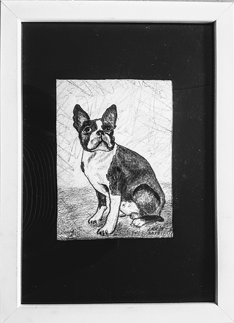 "Fransk Bulldog"	